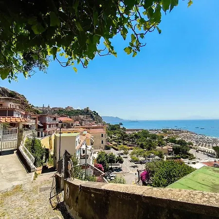 Appartement With Panoramic Terrace 100 Meters From The Sea *